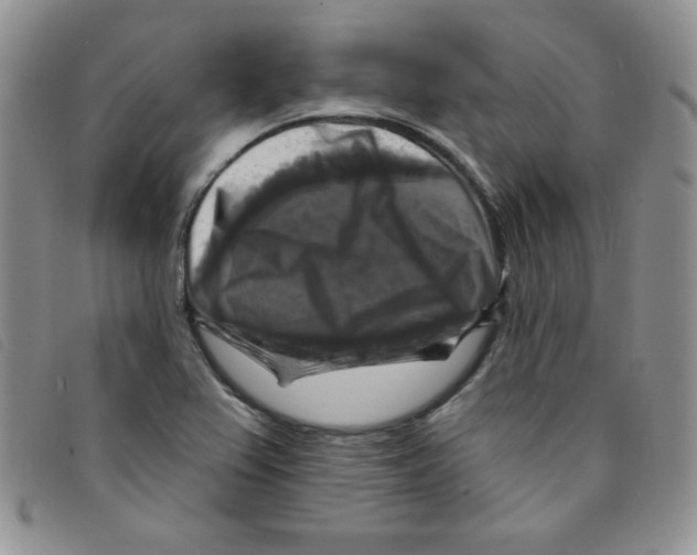 X0000095551367200801111444