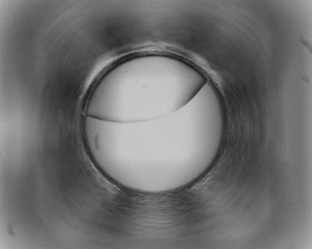 X0000095551368200801111444