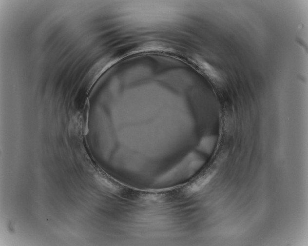 X0000095551369200801111444