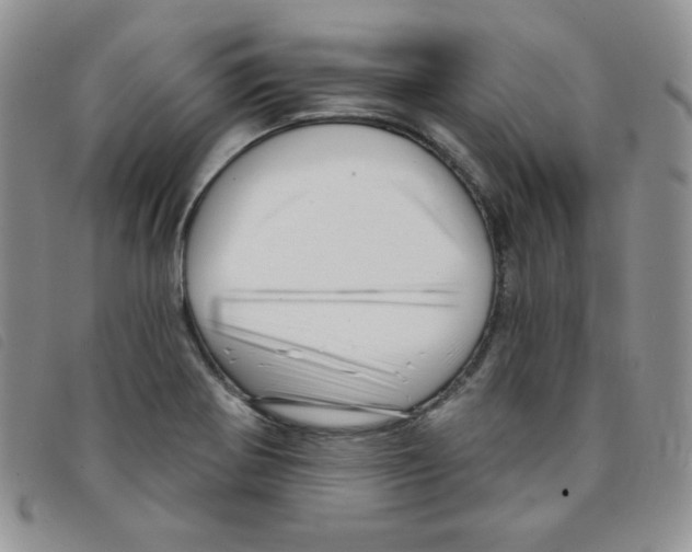 X0000095551370200801111444