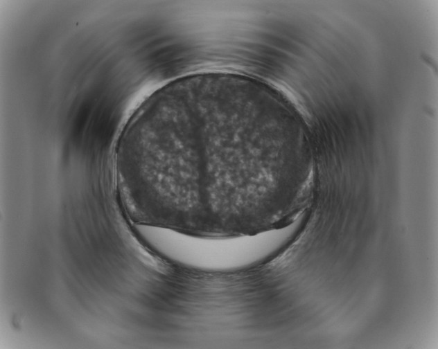 X0000095551371200801111444