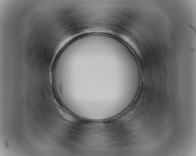 X0000095551372200801111444