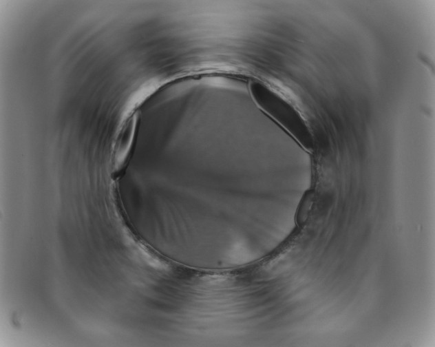 X0000095551373200801111444