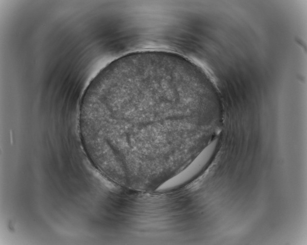 X0000095551374200801111444