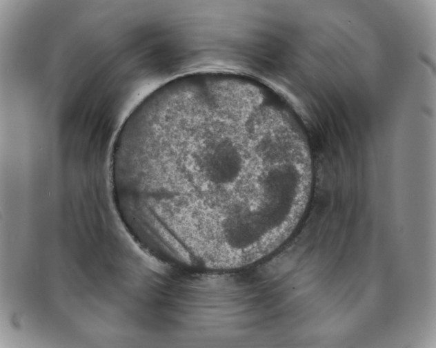 X0000095551375200801111444