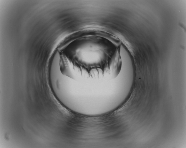 X0000095551376200801111444