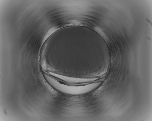 X0000095551378200801111444