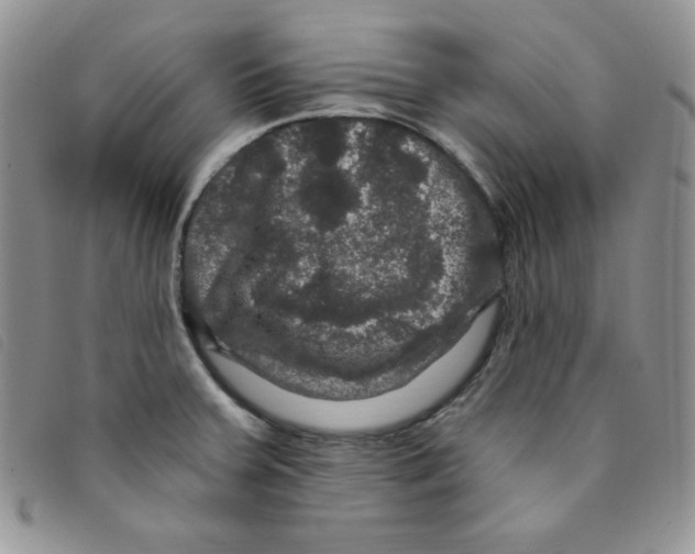 X0000095551379200801111444