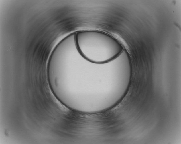 X0000095551380200801111444