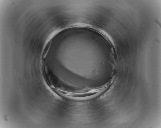 X0000095551381200801111444