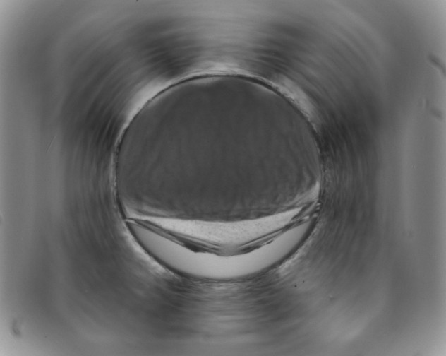 X0000095551382200801111444