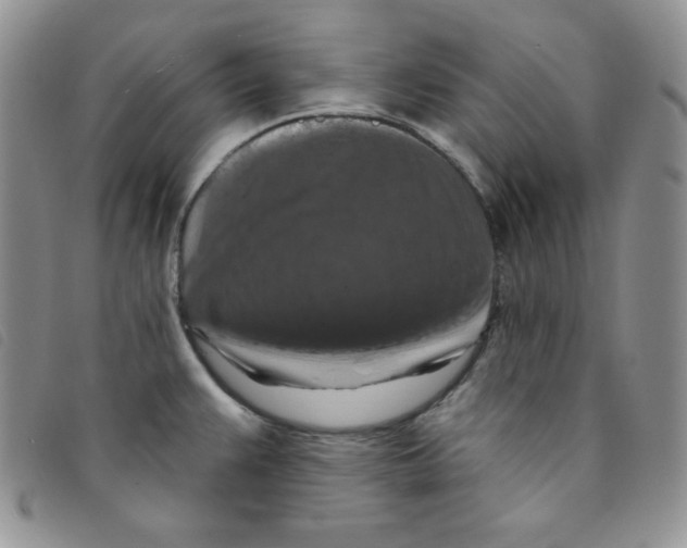 X0000095551383200801111444