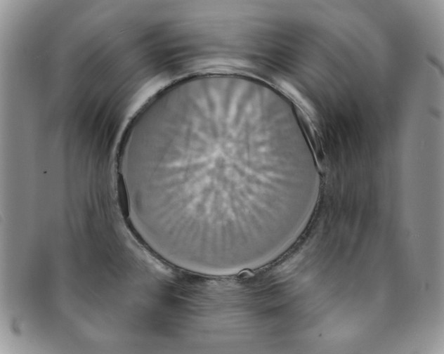 X0000095551384200801111444