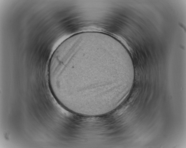 X0000095551387200801111444