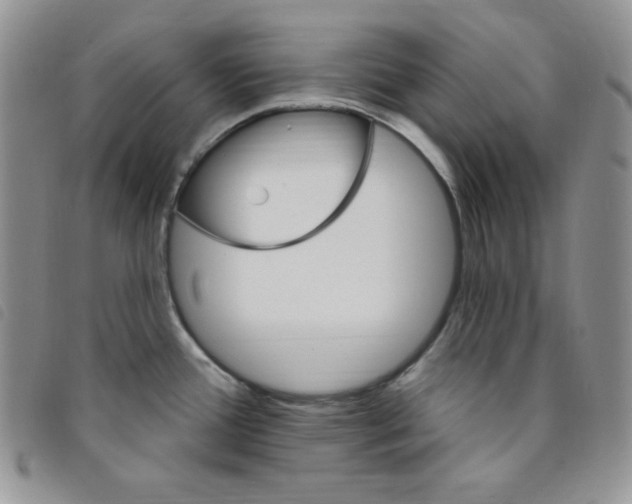 X0000095551388200801111444