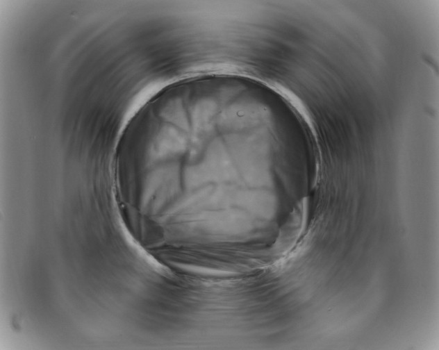 X0000095551389200801111444