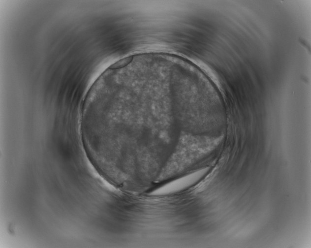 X0000095551390200801111444