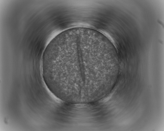 X0000095551391200801111444