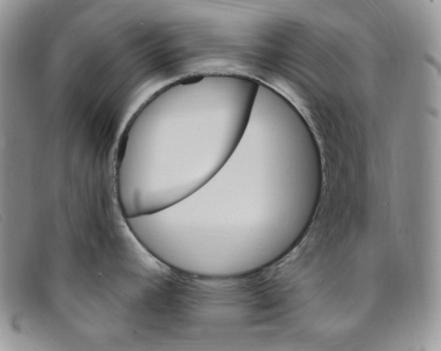 X0000095551392200801111444