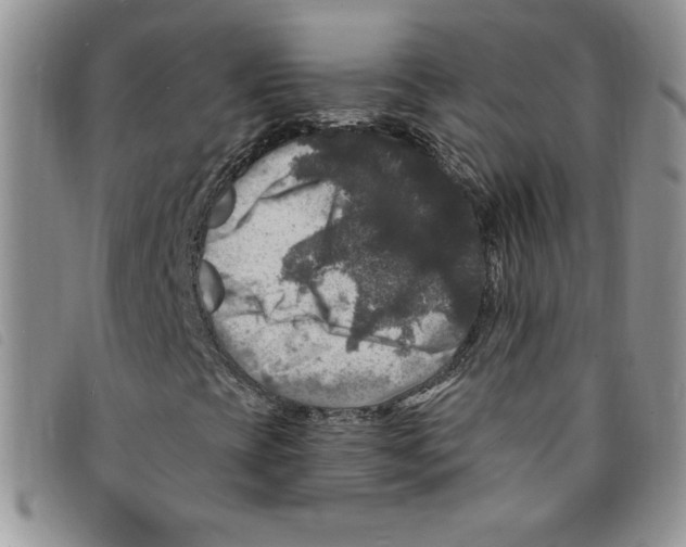 X0000095551393200801111443