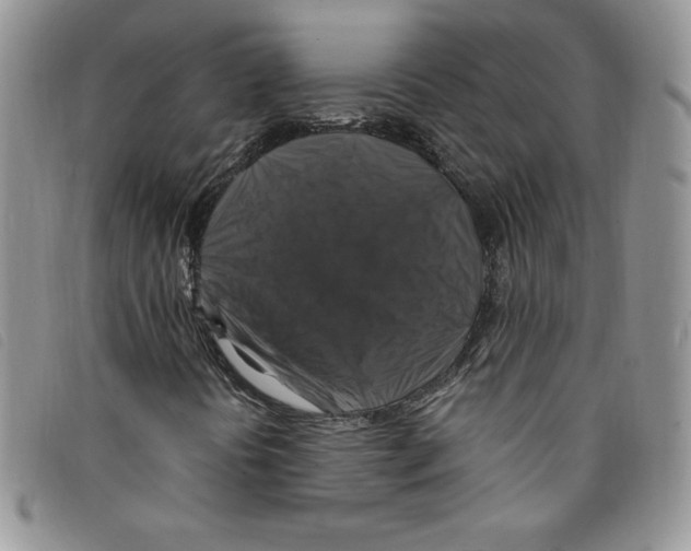 X0000095551394200801111443