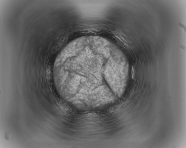 X0000095551395200801111443