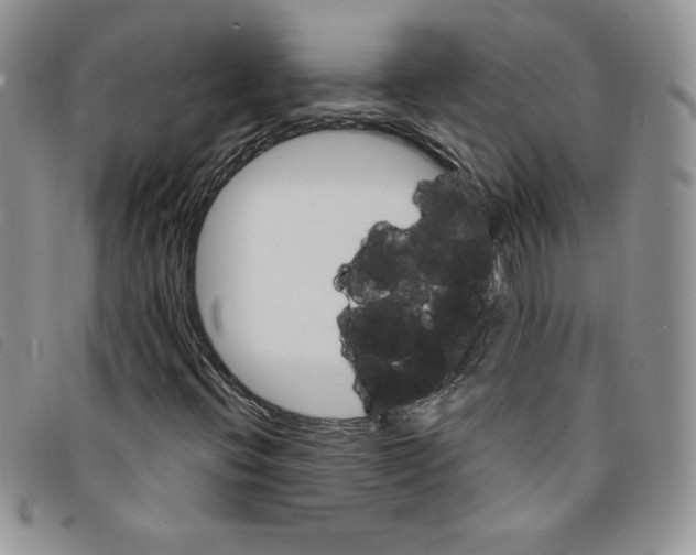 X0000095551396200801111443