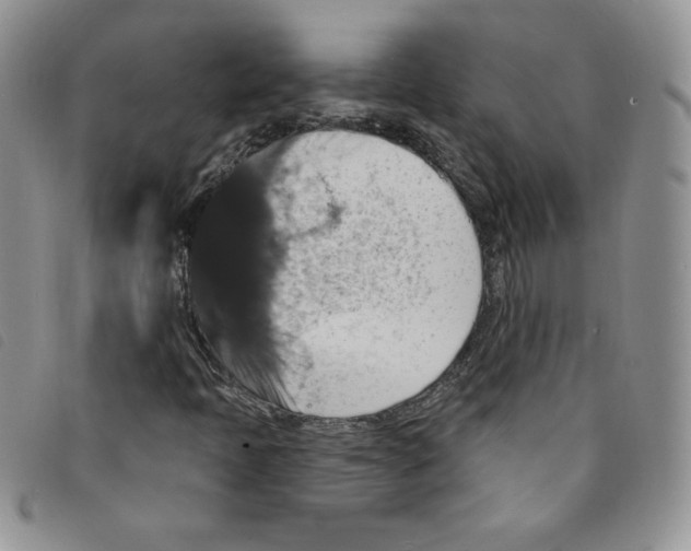 X0000095551397200801111443