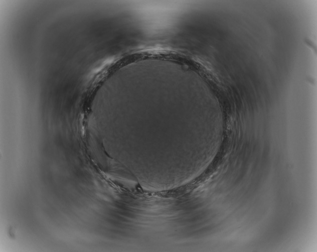 X0000095551398200801111443