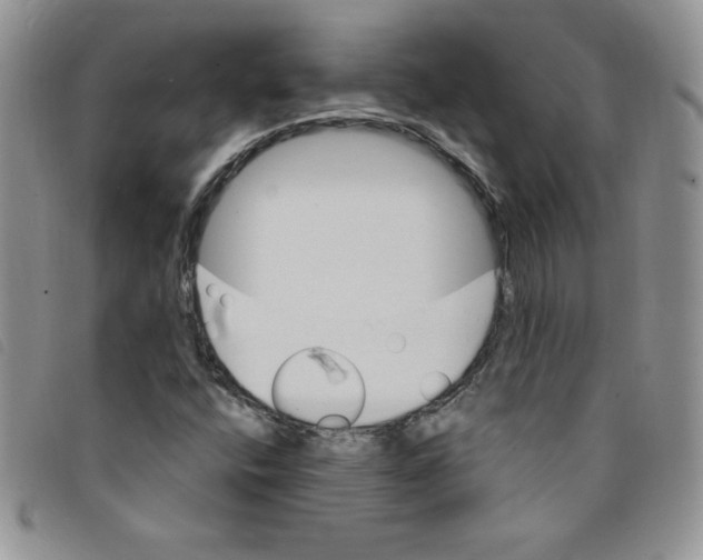 X0000095551400200801111443