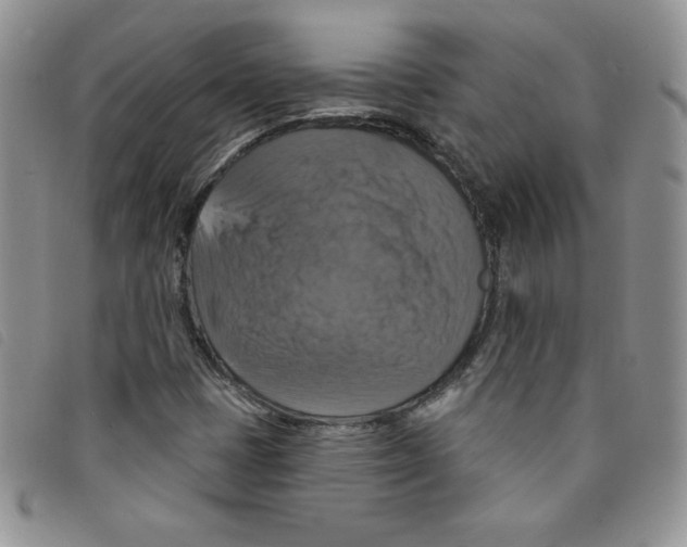 X0000095551401200801111443