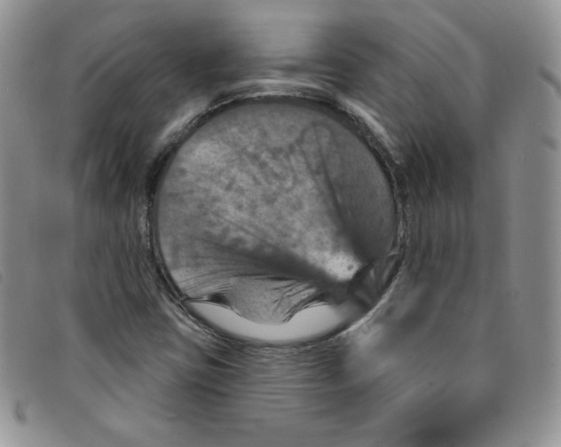 X0000095551403200801111443