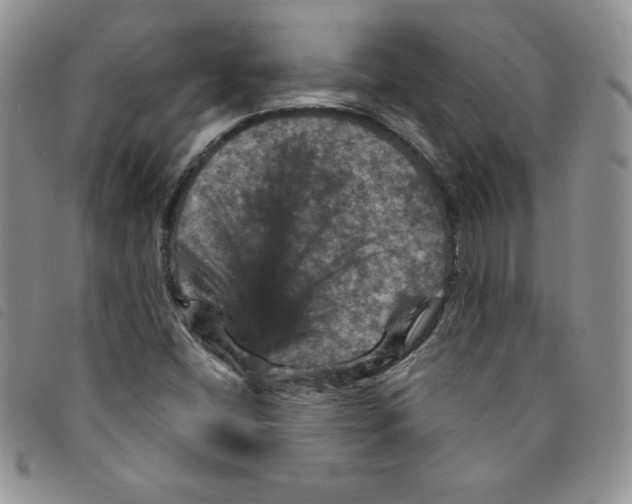 X0000095551404200801111443