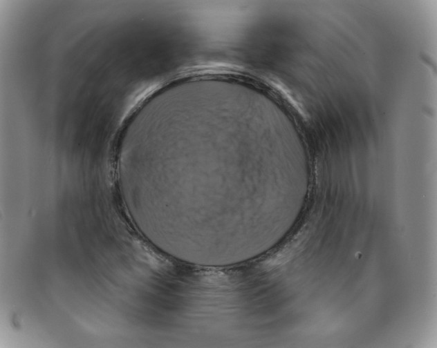 X0000095551405200801111443