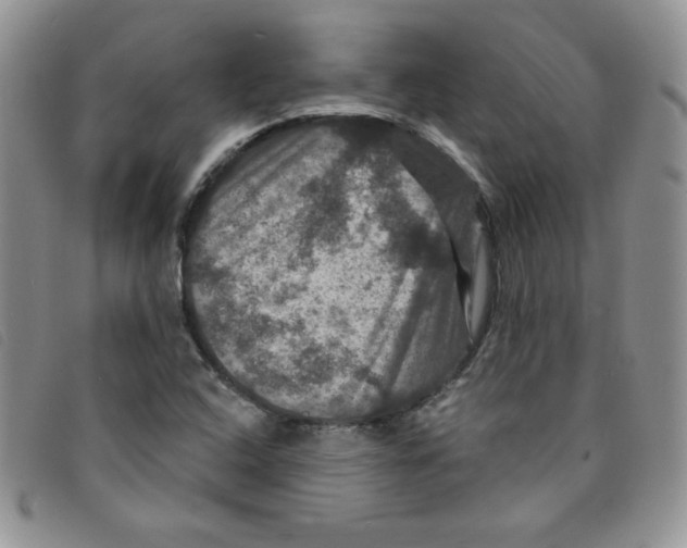 X0000095551408200801111443