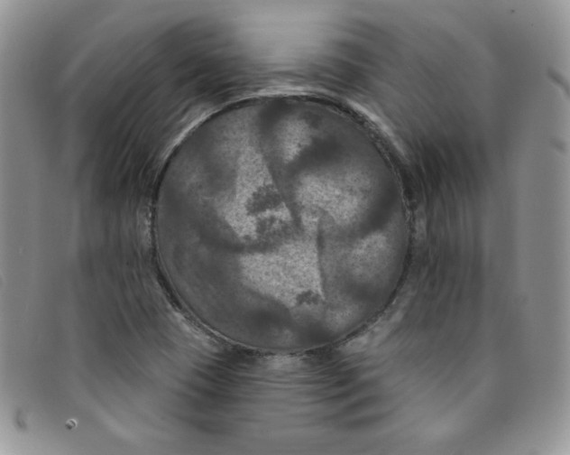 X0000095551409200801111443