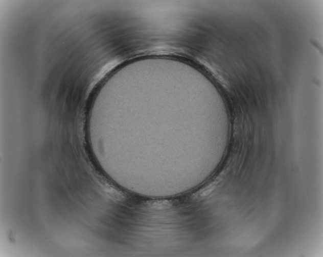 X0000095551410200801111443