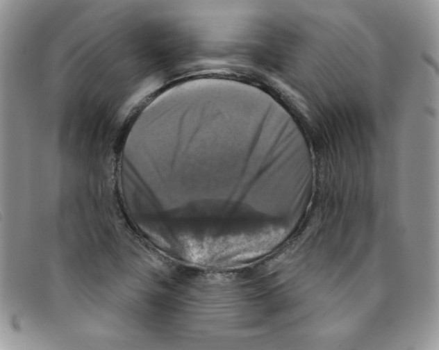 X0000095551411200801111443