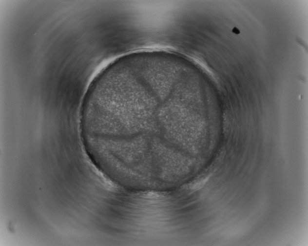 X0000095551412200801111443