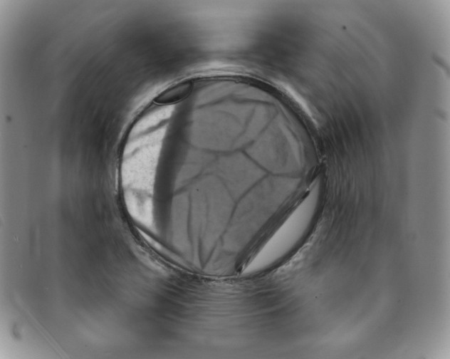 X0000095551413200801111443