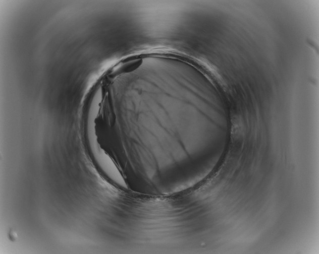 X0000095551414200801111443