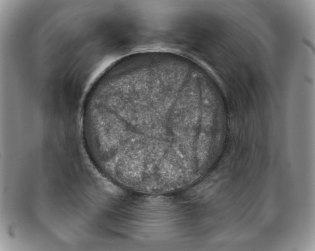 X0000095551416200801111443