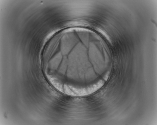 X0000095551419200801111444