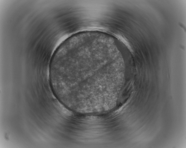 X0000095551420200801111444