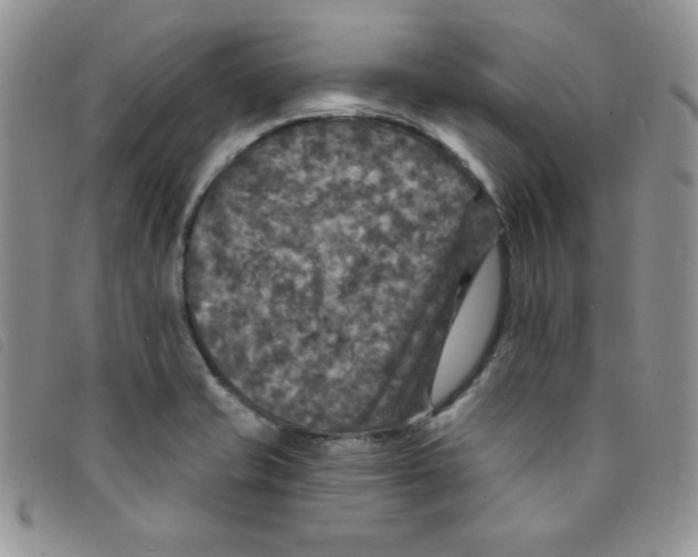 X0000095551421200801111444