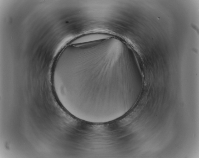 X0000095551422200801111444