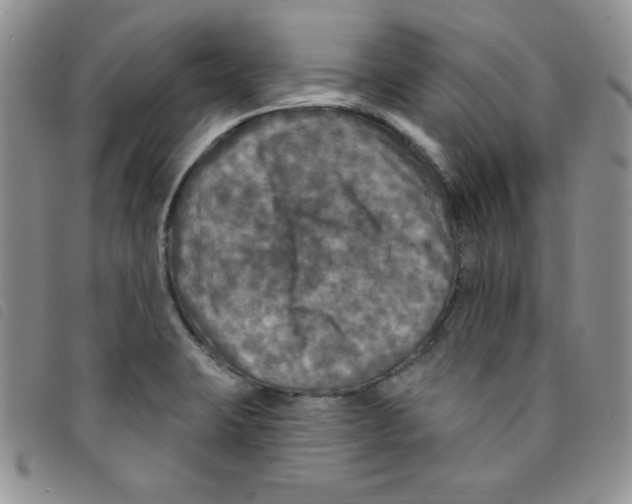 X0000095551423200801111444