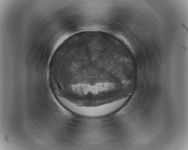 X0000095551424200801111444