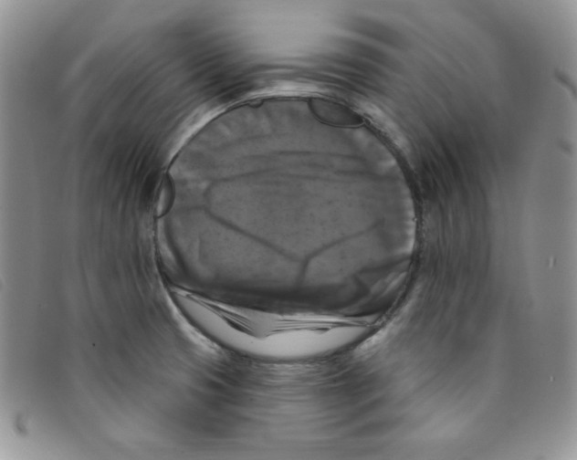 X0000095551425200801111444