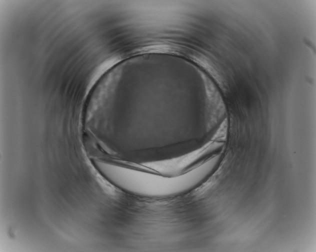 X0000095551426200801111444